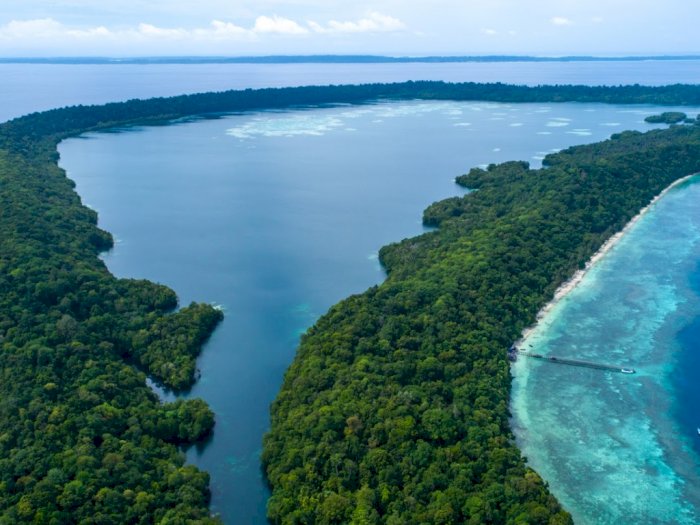 Danau Kakaban, Danau Unik yang Berisi Air Laut | Indozone.id