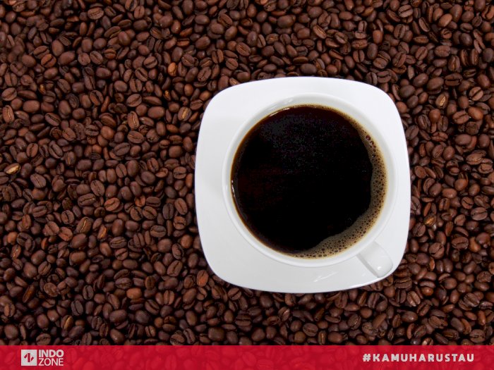Jenis Kopi yang Aman Dikonsumsi Bagi Penderita Asam Lambung