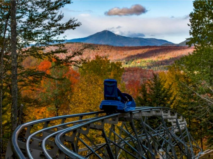 Pacu Adrenalin, New York Hadirkan Mountain Coaster Terpanjang di Amerika