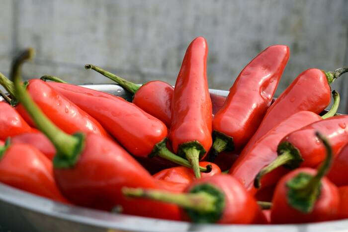Ilustrasi cabe pedas. (Pixabay/balouriarajesh) Manfaat makanan pedas