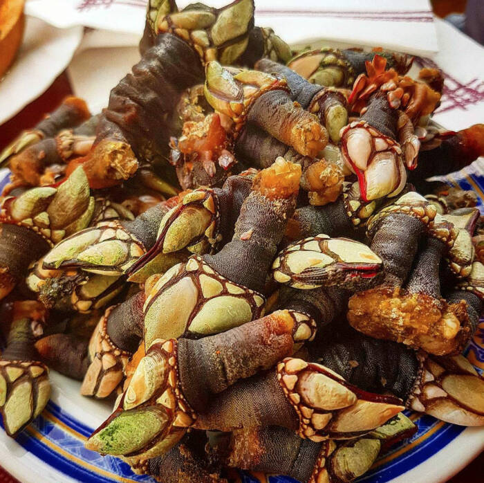 Hidangan teritip leher angsa. (Instagram/@beeldentuin_achterdewestduinen) Hidangan teritip leher angsa.