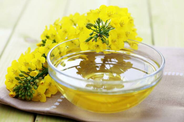 Minyak kanola (medicalnewstoday.com) minyak goreng sehat terbaik untuk penderita diabetes