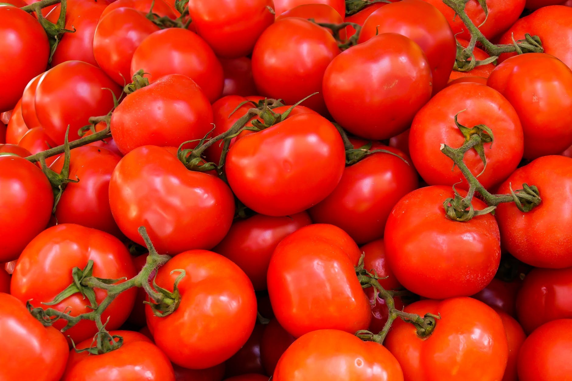 Tomat (Pixabay) makanan sehat untuk menurunkan hipertensi