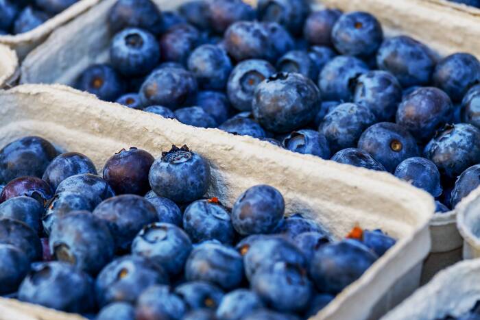 Bluberry (Pixabay) buah buahan untuk menurunkan darah tinggi hipertensi
