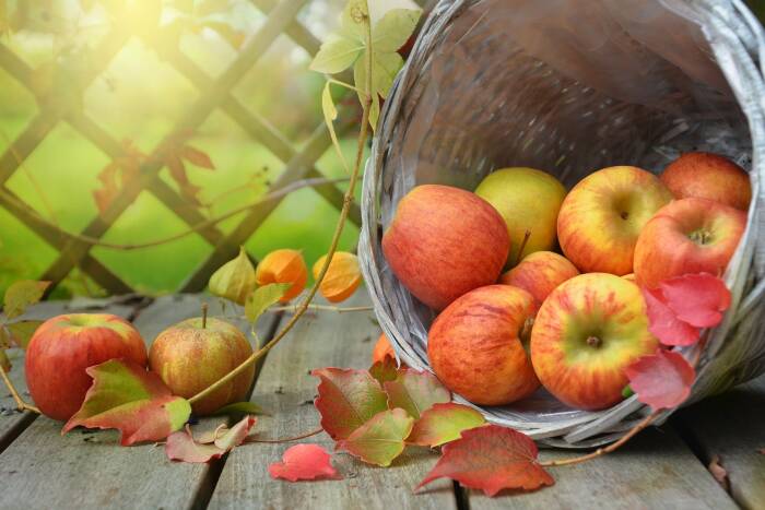 Apel (Pixabay) buah buahan menurunkan tekanan darah tinggi untuk penderita hipertensi