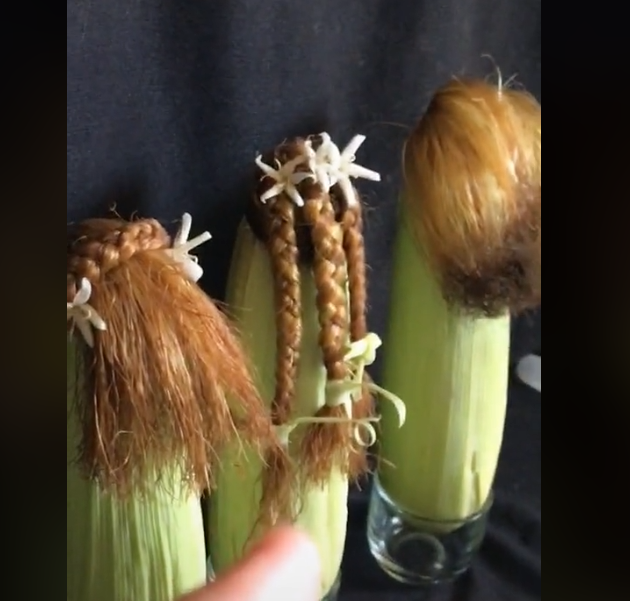 Rambut jagung dihias seperti rambut manusia (Tiktok) viral, video viral, diy rambut jagung