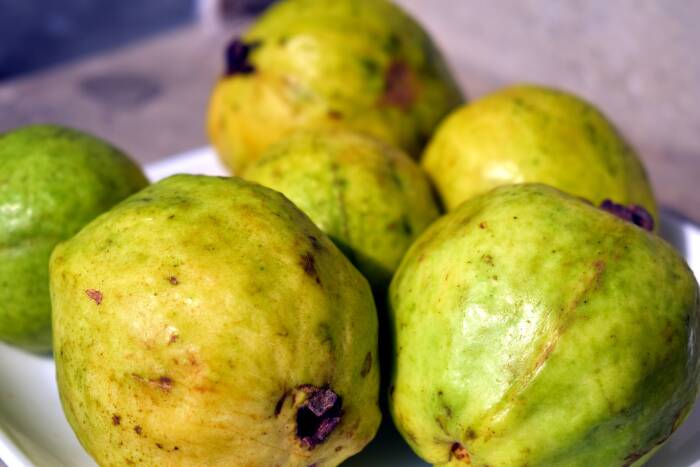 Jambu biji (Pixabay/Sandeep Handa) jambu biji