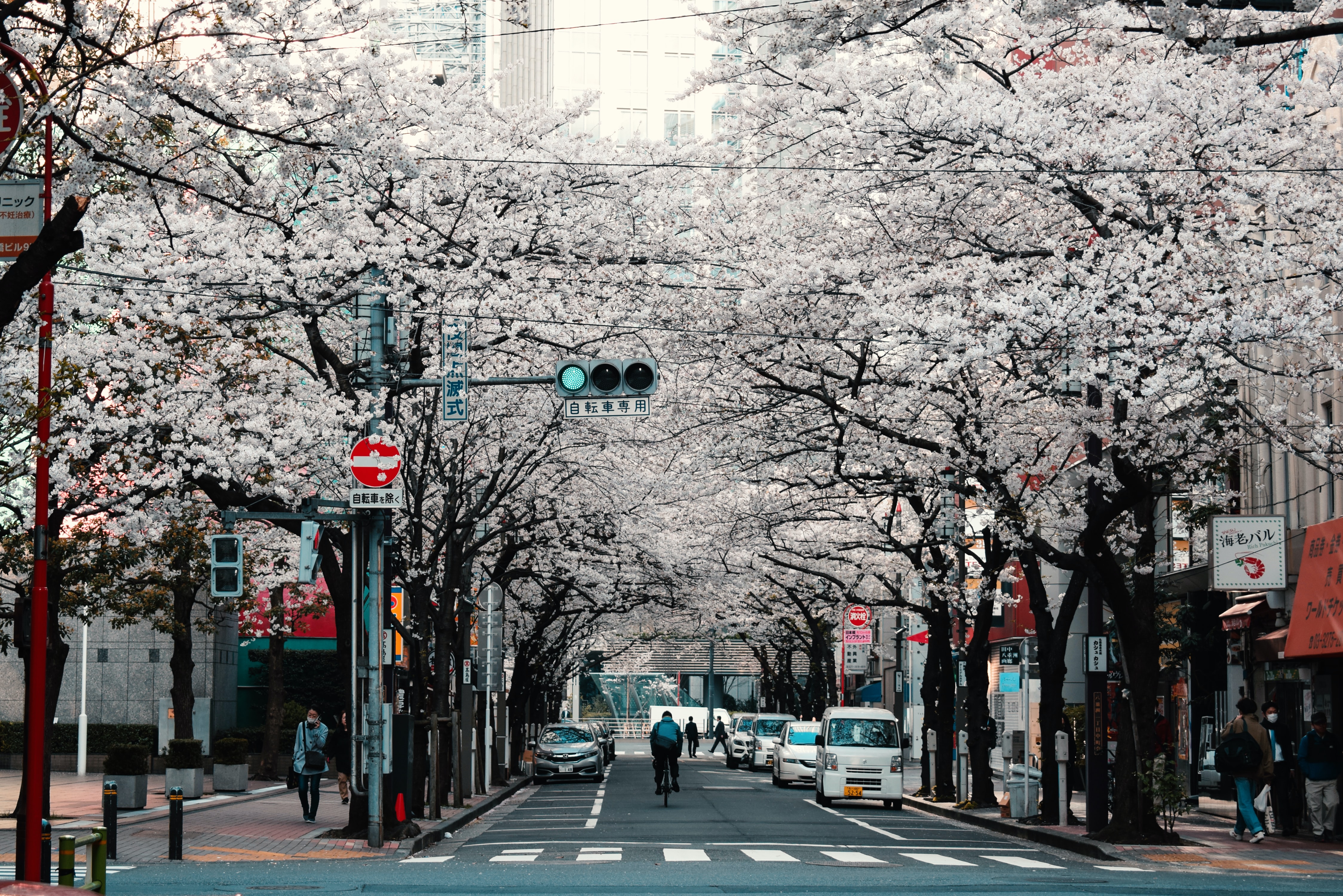 Ilustrasi suasana kota Tokyo. (Unsplash/@agathemarty) daftar kota-kota terbaik di dunia