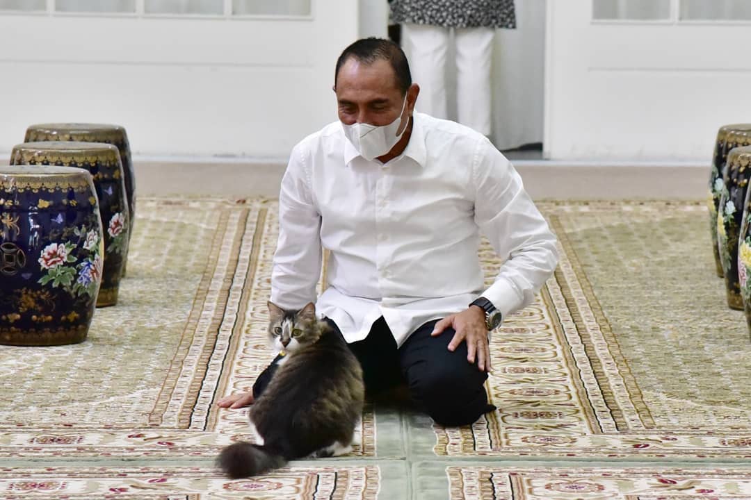 Instagram/edy_rahmayadi kucing kesayangan gubernur edy rahmayadi