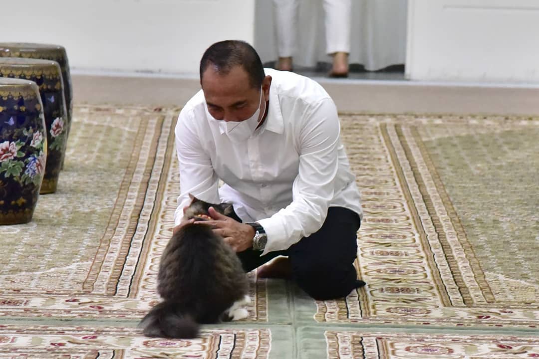 Instagram/edy_rahmayadi kucing kesayangan gubernur edy rahmayadi