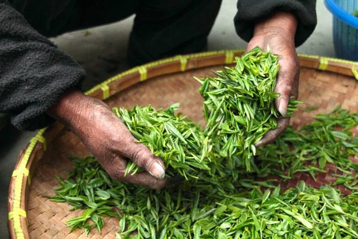 Teh hijau (Pixabay/Highnesser) teh hijau