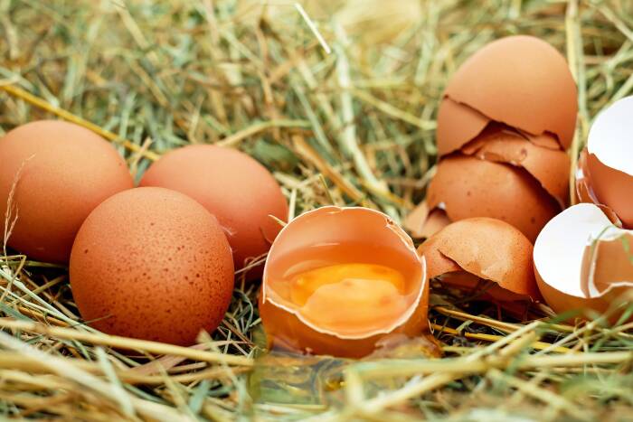 Telur (Pixabay/Couleur) telur