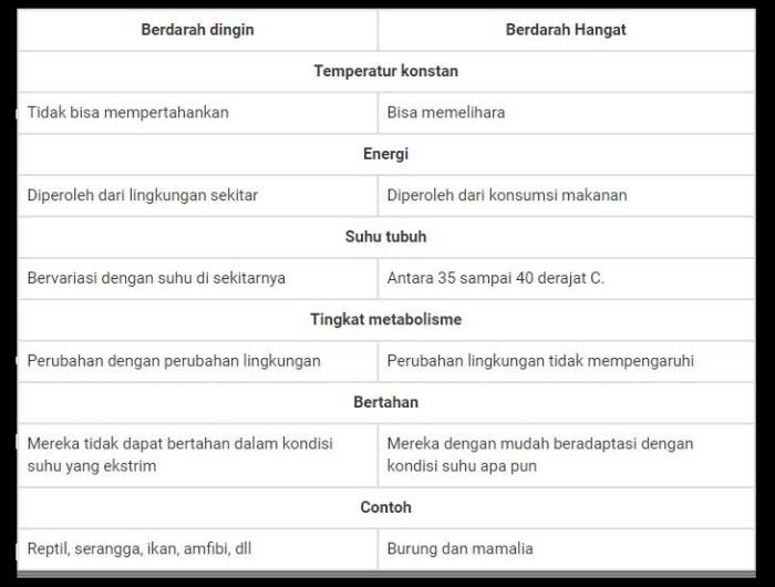 Perbedaan hewan berdarah dingin dan berdarah panas. (Byjus.com) Perbedaan hewan berdarah dingin dan hewan berdarah panas