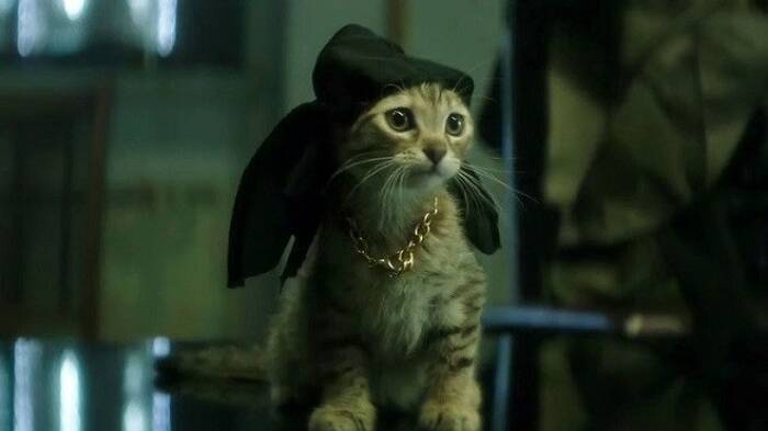 Keanu (2016). (Warner Bros.) Keanu (2016). (Warner Bros.)