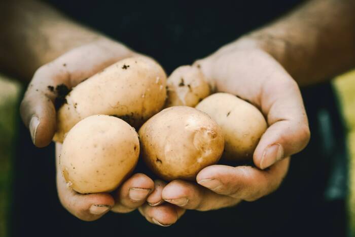 Buah Kentang. (Photo/Unsplash) Bahan Atasi Leher yang Kelihatan Gelap