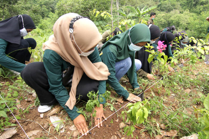 ANTARA FOTO/Budi Candra Setya Warga bersama Mahasiswa Agribisnis Politeknik Negeri Banyuwangi menanam bunga Bougenville