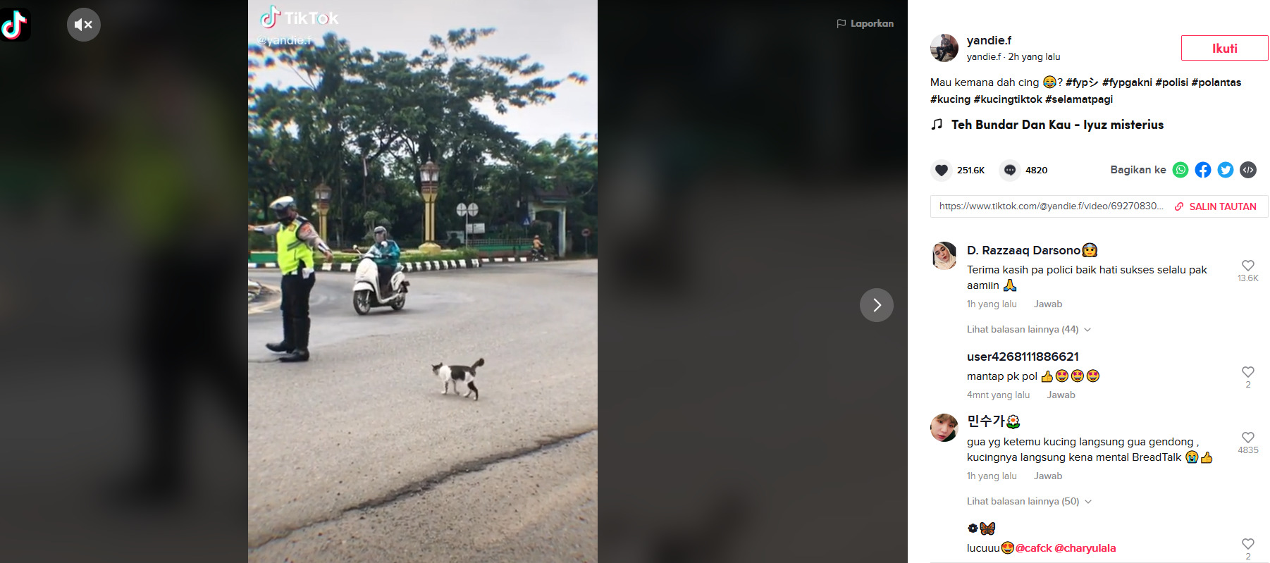 Screenshoot. (Tiktok/@yandie.f) polisi bantu kucing menyeberang jalan raya